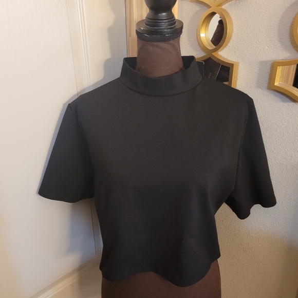 Fashion Nova Tops - Nwt fashion nova 3x high neck crop top